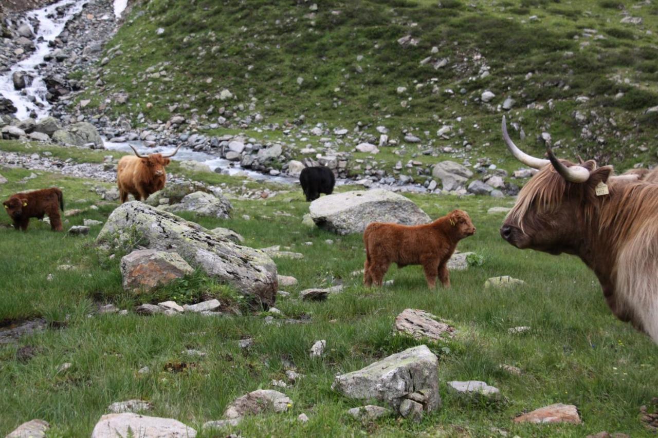 Stier Apartment Sankt Anton am Arlberg Dış mekan fotoğraf